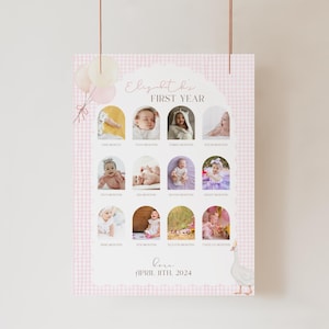 ONE Silly Goose First Year Milestone Board One-Twelve Month Photos Silly Goose Birthday Theme Vintage Style Bday Editable First Year Sign