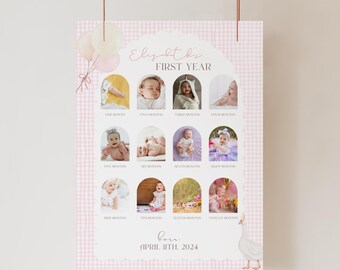ONE Silly Goose First Year Milestone Board One-Twelve Month Photos Silly Goose Birthday Theme Vintage Style Bday Editable First Year Sign