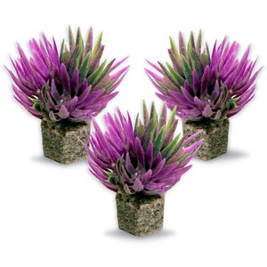 May include: Three small potted artificial succulent plants with purple and green leaves. The pots are made of a brown material that looks like stone.