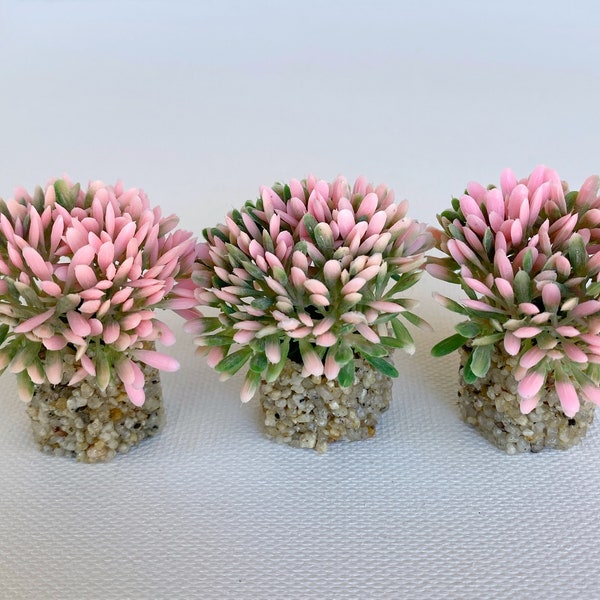 Mini Allium Freshwater Aquarium Plant Pink -  3 Pack with Stone Base, Aquascape Decor, Artificial Aquarium Plastic Plant