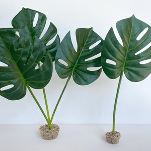 Plastic Monstera - Etsy