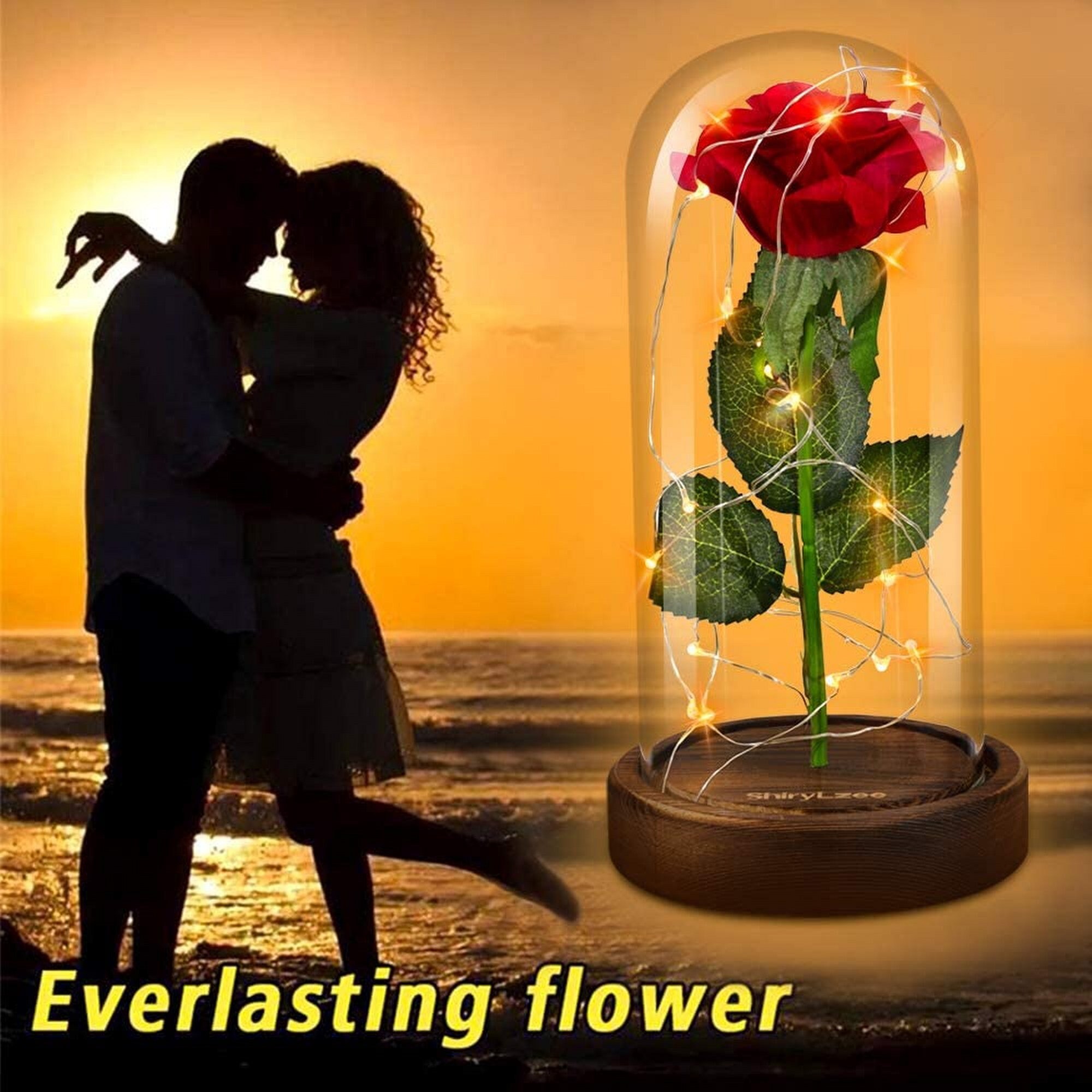 Beauty and the Beast rose Romantic red Enchanted Rose Etsy