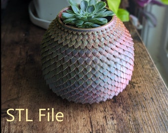 Dragon Egg Succulent Pot STL Digital File