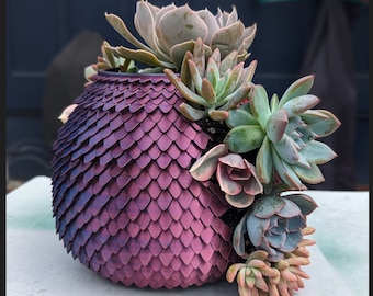 Hatching Dragon Egg Succulent Pot STL Digital File