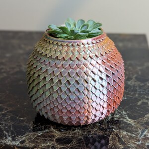 May include: A small succulent plant in a pink and green iridescent ceramic planter shaped like a dragon egg.