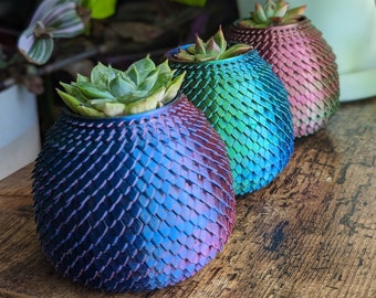 Mini Dragon Egg Succulent Pot 3d Printed