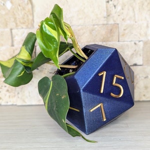 May include: A blue, geometric planter shaped like a twenty-sided die, with gold numerals 15 and 1. The planter holds a green and yellow plant. The background is a light-colored, textured wall.