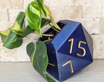 D20 Succulent Pot 3d Printed