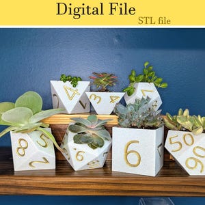 May include: Seven white ceramic planters shaped like dice with gold numbers. The planters are arranged on a wooden shelf and contain small plants.