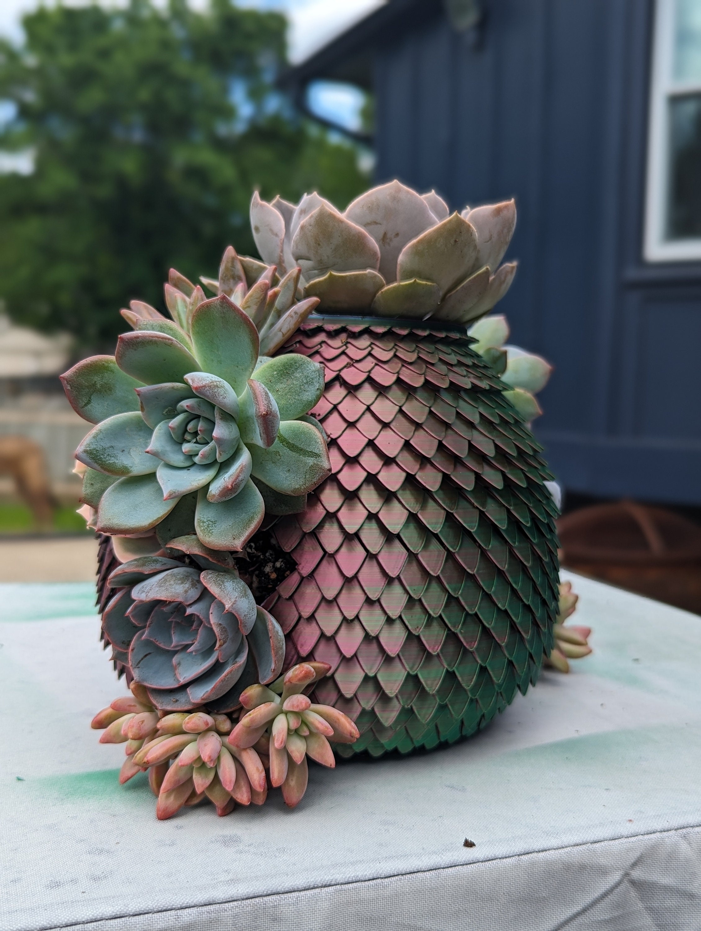 Hatching Dragon Egg Succulent Pot STL Digital File Hatching Dragon Egg Succulent Pot STL Digital File