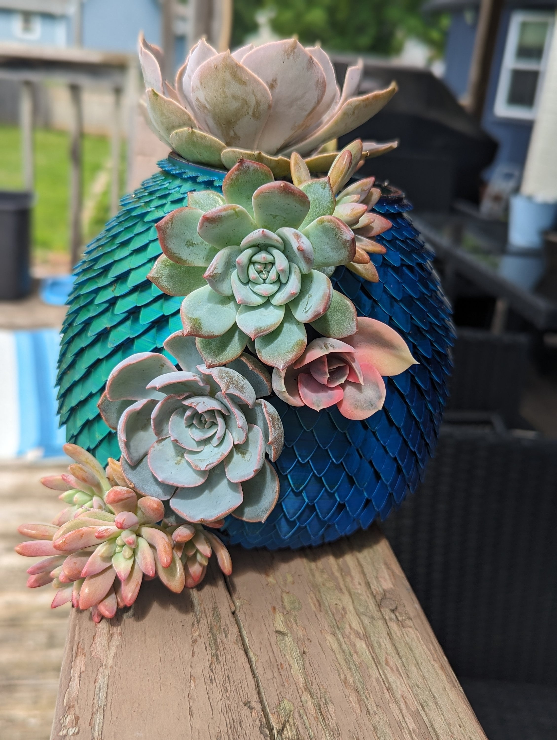 Hatching Dragon Egg Succulent Pot STL Digital File Hatching Dragon Egg Succulent Pot STL Digital File