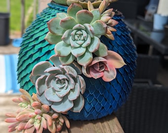 Hatching Dragon Egg Succulent Pot - 3d Printed - 6inch
