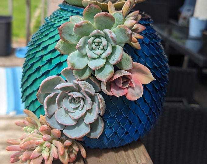 Featured listing image: Hatching Dragon Egg Succulent Pot - 3d Printed - 6inch