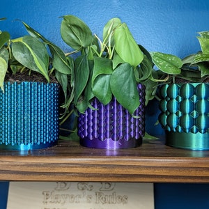 Puede incluir: Tres plantas en maceta con macetas de diferentes colores. Las macetas son texturizadas y tienen un brillo metálico. Las plantas son verdes y frondosas.