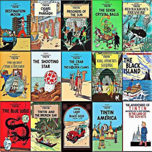 Complete collection of the classic 24 TinTin books on dvd