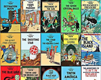 Complete collection of the classic 24 TinTin books on dvd