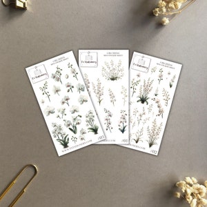 Conjunto de pegatinas de orquídeas de 3 - pegatinas de flores - pegatinas de primavera, pegatinas de diario, pegatinas del planificador, paquete de pegatinas de orquídeas, papelería