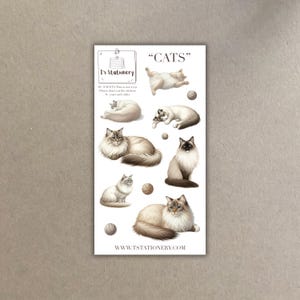 Adesivi per gatti - Adesivi per diario, adesivi per planner, scrapbooking, adesivi per gattini, diario di lettura, regalo per amanti dei gatti, adesivo per gatti