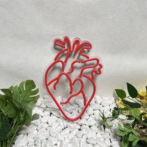 Peut inclure: Une enseigne au n&eacute;on rouge en forme de c&oelig;ur humain. L'enseigne est mont&eacute;e sur un support transparent et est pos&eacute;e sur des galets blancs. Des plantes vertes et des fleurs jaunes sont en arri&egrave;re-plan.
