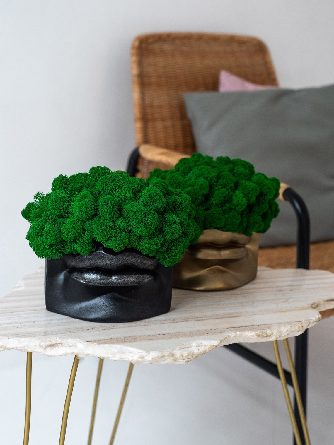 Moss decoration moss decor for table moss pot preserved Etsy