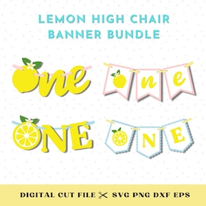 Citroen 3D kinderstoel banner, baby eerste verjaardag banner, roze limonade één partij decor, fruit thema digitale download SVG cut-bestand