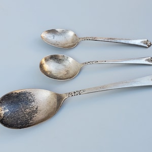 Royal Crest Sterling Castle Rose Pattern - Set of 3 Pieces - 1 Large Oval Serving Spoon - 1 - Teaspoon - 1 Gumbo Spoon - 4.48 Oz - Roses