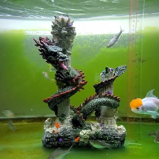 aquarium turtle decorations