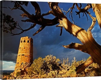 Grand Canyon National Park, Southwest, Arizona, Colorado River, Canyon South Rim, Desert View, Utah Juniper, Sunset, Desert Watchtower 3241