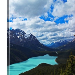 Canada, Northwest, Alberta, Lake Louise, Banff National Park, Canadian Rockies, Glaciers, Rock Flour, Icefields Parkway, Peyto Lake 7987