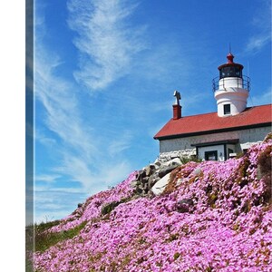 May include: A white lighthouse with a red roof and a black top stands against a bright blue sky with wispy clouds. The foreground is covered in vibrant pink flowers, creating a picturesque coastal scene.