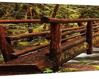 Panoramic Image, PNW, Northwest, Oregon, McKenzie River, Willamette Forest, Cascade Mountains, Hiking Trail, Creek, Log Footbridge 4483