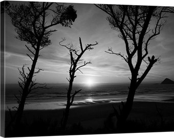 PNW, Northwest, Oregon, Oceanside, Pacific Ocean, Three Capes Route, Cape Meares, Symons Beach, Black & White, Bonsai Tree, Sunset 2268