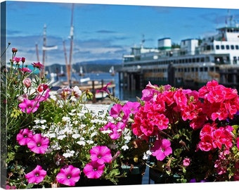 PNW, Northwest, Washington, Friday Harbor, San Juans, Puget Sound, Marina, Summer Flowers, Chinook, Ferry Terminal, Ferry MV Hyak 4747