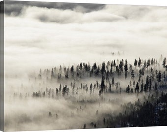 PNW, Northwest, Washington, Usk, Colville National Forest, Selkirk Mountains, North Baldy, Sunset, Forest thru the Fog, Ghost Trees 0490