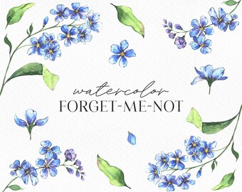 Watercolor Floral Clipart Carnations /& Forget Me Not Flowers Digital Download Bouquet Wreath Carnation Forget-Me-Not Free Commercial Use Png