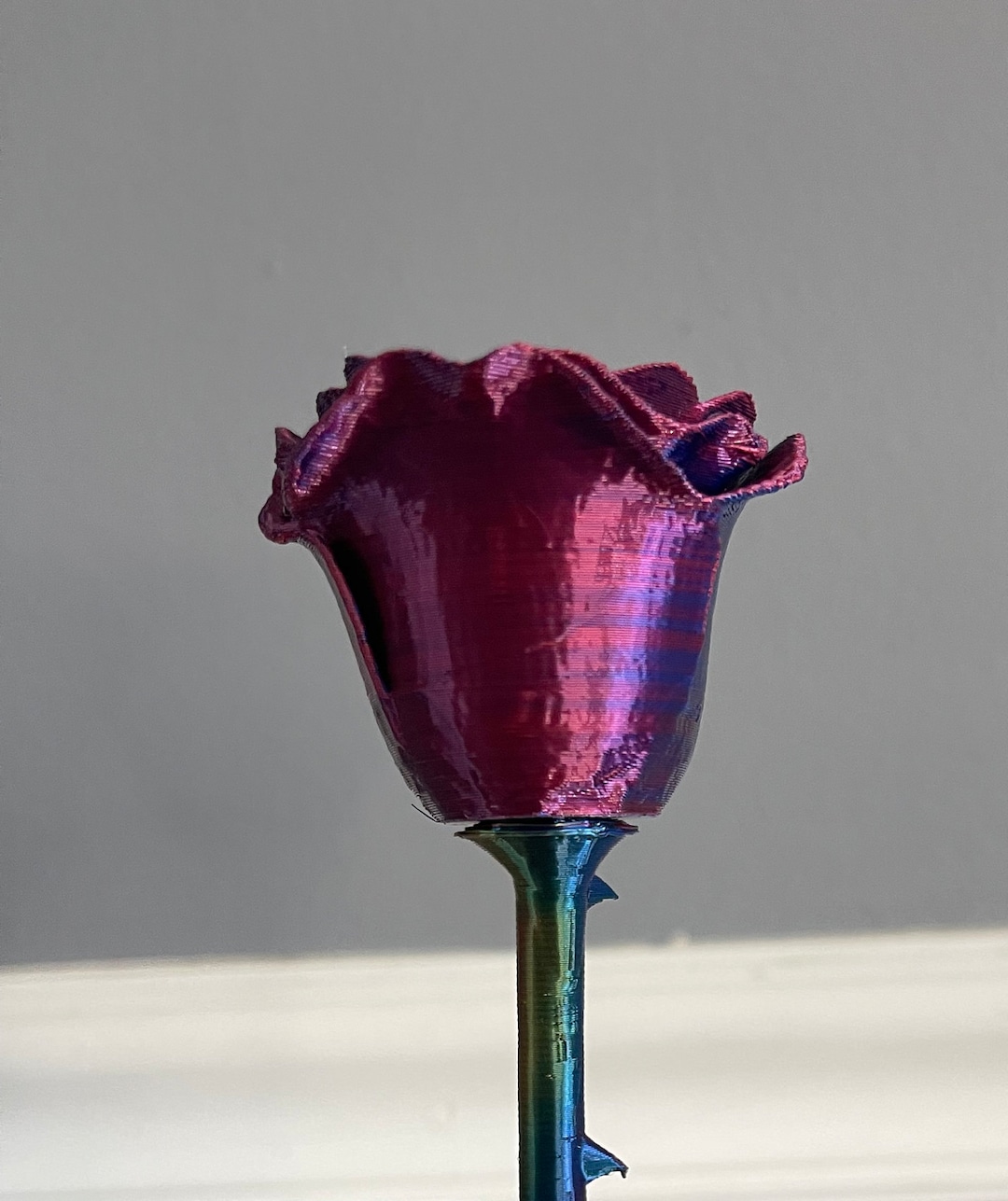 Color Changing Roses - Etsy