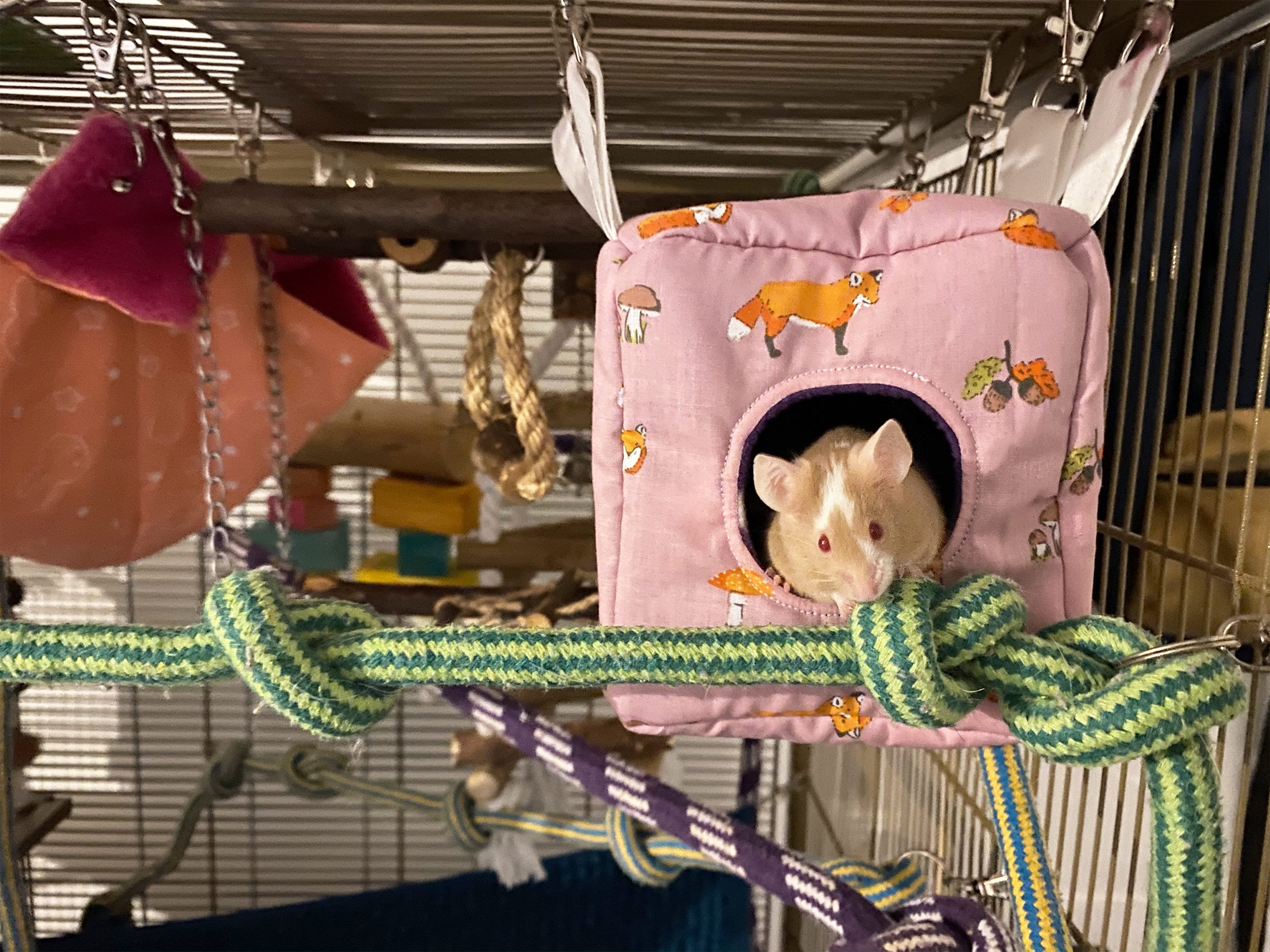 Mouse Hammock Set with Fleece and metal clips Hanging Etsy
