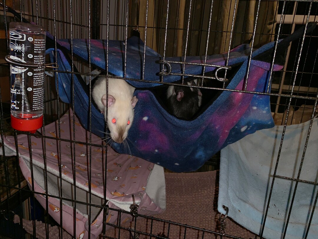 Hamaca grande de forro polar para ratas, hamaca doble, anticaídas