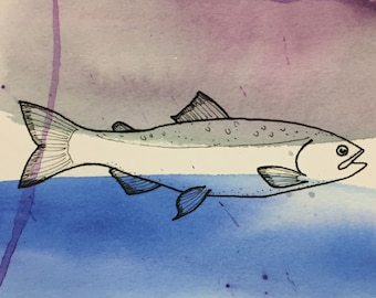 Salmon Print