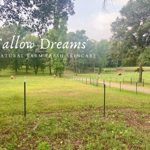 Pode incluir: Uma paisagem rural com um campo verde, &aacute;rvores e um caminho. O texto "Tallow Dreams ALL NATURAL FARM FRESH SKINCARE" est&aacute; sobreposto. A imagem evoca a natureza e os cuidados com a pele.