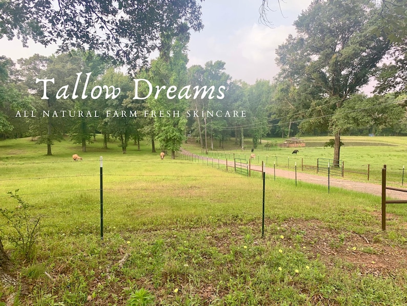 Pode incluir: Uma paisagem rural com um campo verde, &aacute;rvores e um caminho. O texto "Tallow Dreams ALL NATURAL FARM FRESH SKINCARE" est&aacute; sobreposto. A imagem evoca a natureza e os cuidados com a pele.