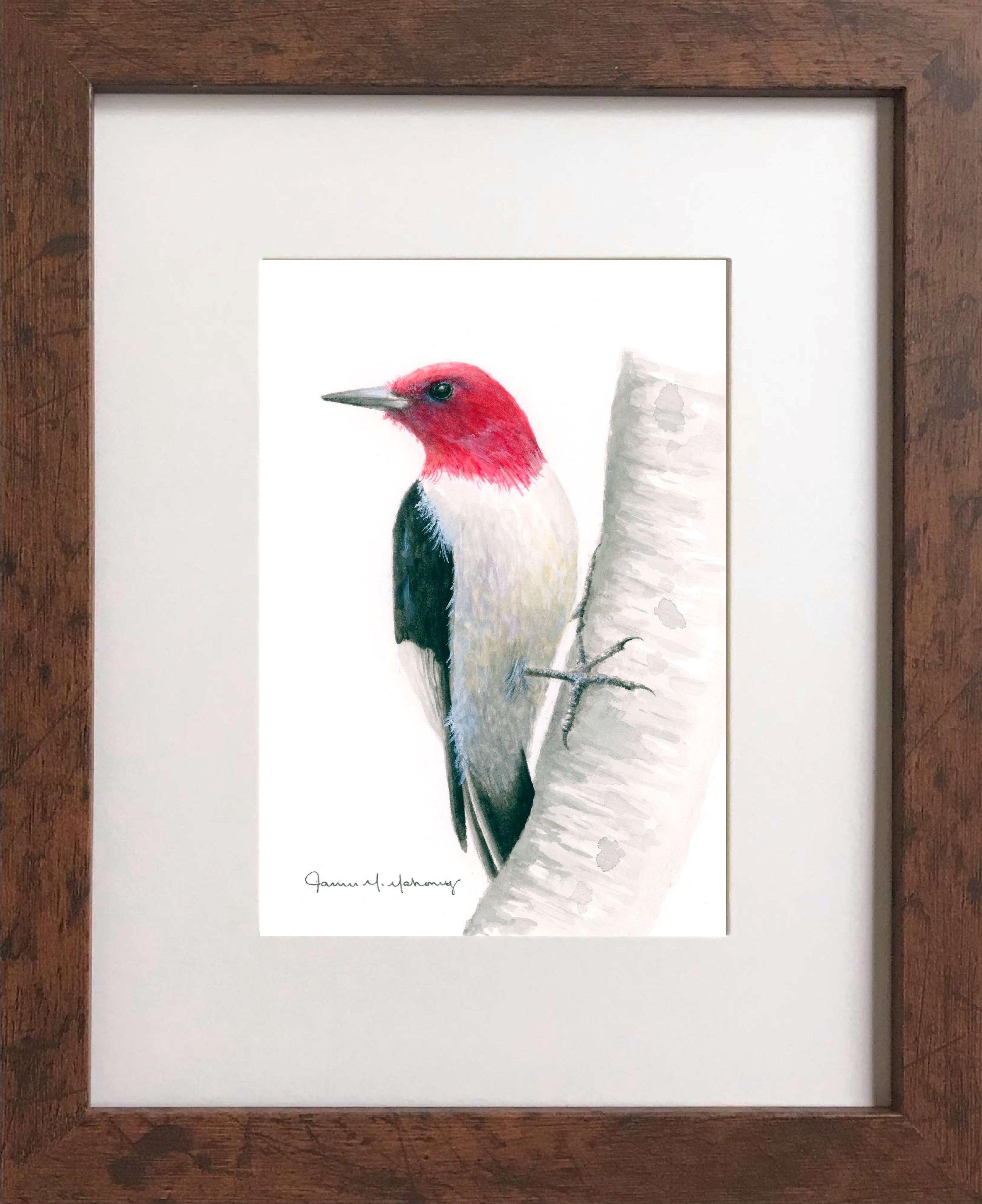 Red-headed Woodpecker Original Watercolor Painting - Etsy