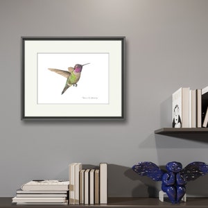 Anna's Hummingbird Watercolor Print - Etsy