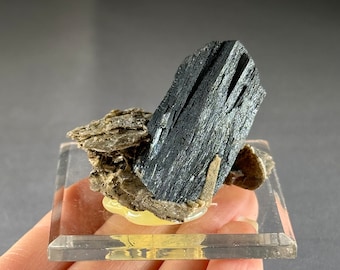 May include: A black and gray mineral specimen with a sharp, angular shape. The mineral is mounted on a clear acrylic base.