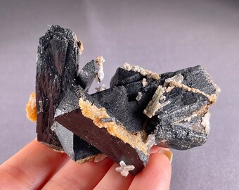 May include: A cluster of black tourmaline crystals with a glossy surface. The crystals are intergrown with small, light-colored quartz crystals and a tan matrix. The mineral specimen is held in a hand.