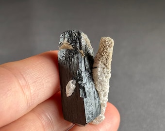 May include: A black and grey crystal with a white crystal attached to the side. The crystal is in the hand of a person.