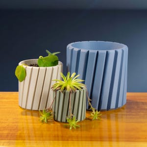 May include: Three cylindrical planters in varying sizes and colors. The largest is light blue, the medium is light gray, and the smallest is olive green. Each planter has a vertical, ridged design and contains a different succulent plant.