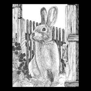 Matted Black and white Pen & Ink Print of Rabbit in Blackberries by local Arkansas artist. Wildlife. Great gift.