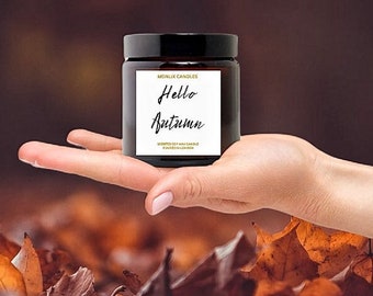 Sojawas herfst geurkaars, pompoenkruid, amber pot kaars, herfst cadeau, herfst home decor, herfst kaars, container kaars, kaars cadeau voor mannen