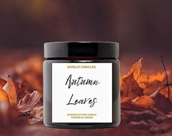 Sojawas herfst geurkaars, pompoenkruid, amber pot kaars, herfst cadeau, herfst home decor, herfst kaars, container kaars, kaars cadeau voor mannen